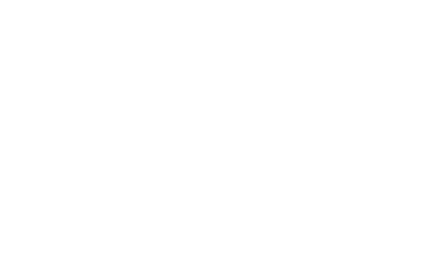 Real Leverage LLC